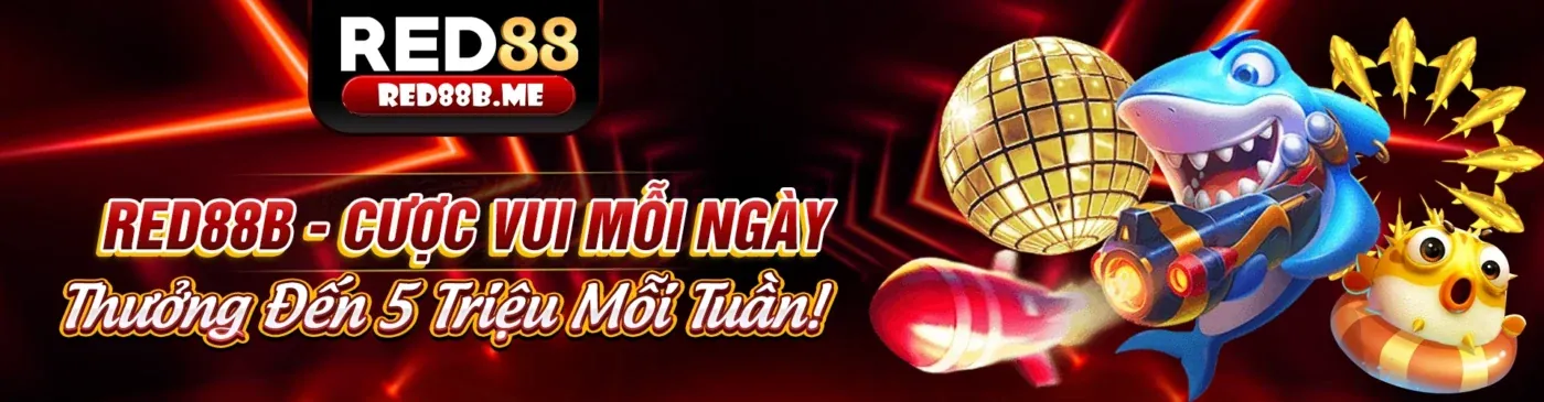 Chính sách quyền riêng tư của 22bet iOS
